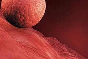 江苏试管医院哪家好？江苏试管真的能助孕孩子吗？