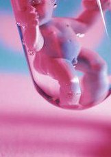 在长沙做试管婴儿要在医院住几天？