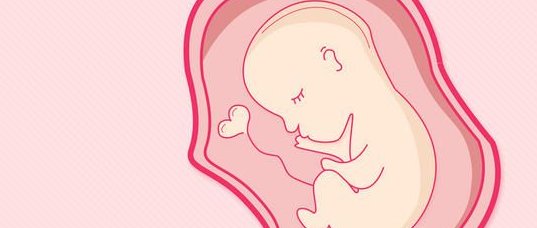 郑州8大试管助孕生殖医院名单公布，3家医院试管助孕筛选胚胎靠谱