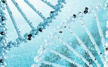 试管婴儿想要需要注意什么？