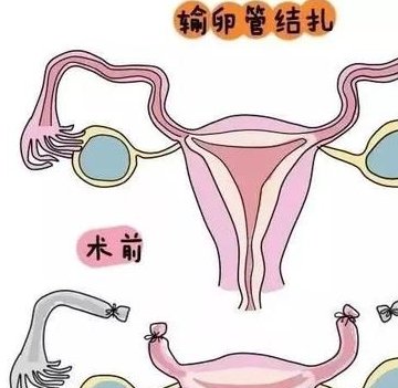 2026年天津热门助孕机构大盘点：揭秘前三甲机构名单！